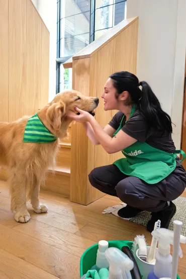 merry maid greeting a dog